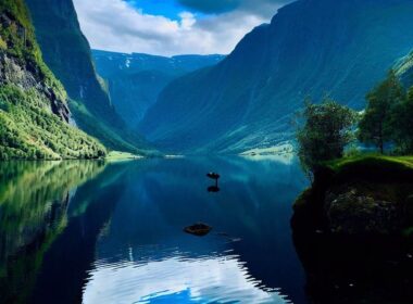 Przyroda Norwegii: jakie gatunki możemy spotkać
